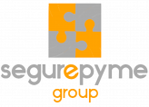 Segur ePyme Group